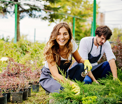 5 Nutzliche Apps Fur Den Heimischen Garten